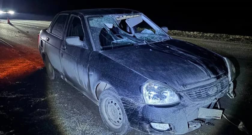 В Кировской области водитель "Лада Приора" насмерть сбил мужчину