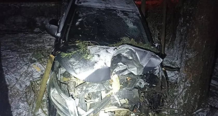 В Лебяжском районе в жестком ДТП с наездом на дерево пострадали четыре человека