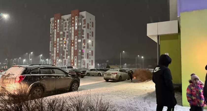 В России в 2025 году снизились продажи новых легковых машин