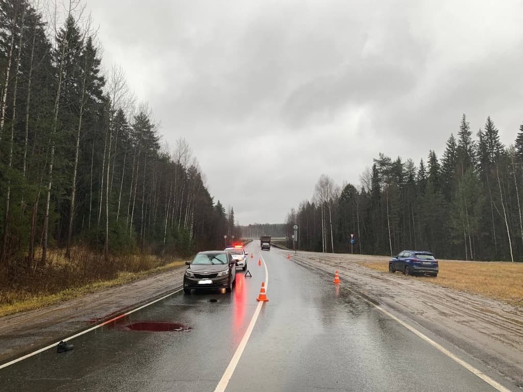 За выходные в Кировской области в ДТП погибли четыре человека