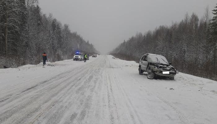 Подробности смертельного ДТП в Мурашинском районе: два трупа и пострадавшие дети