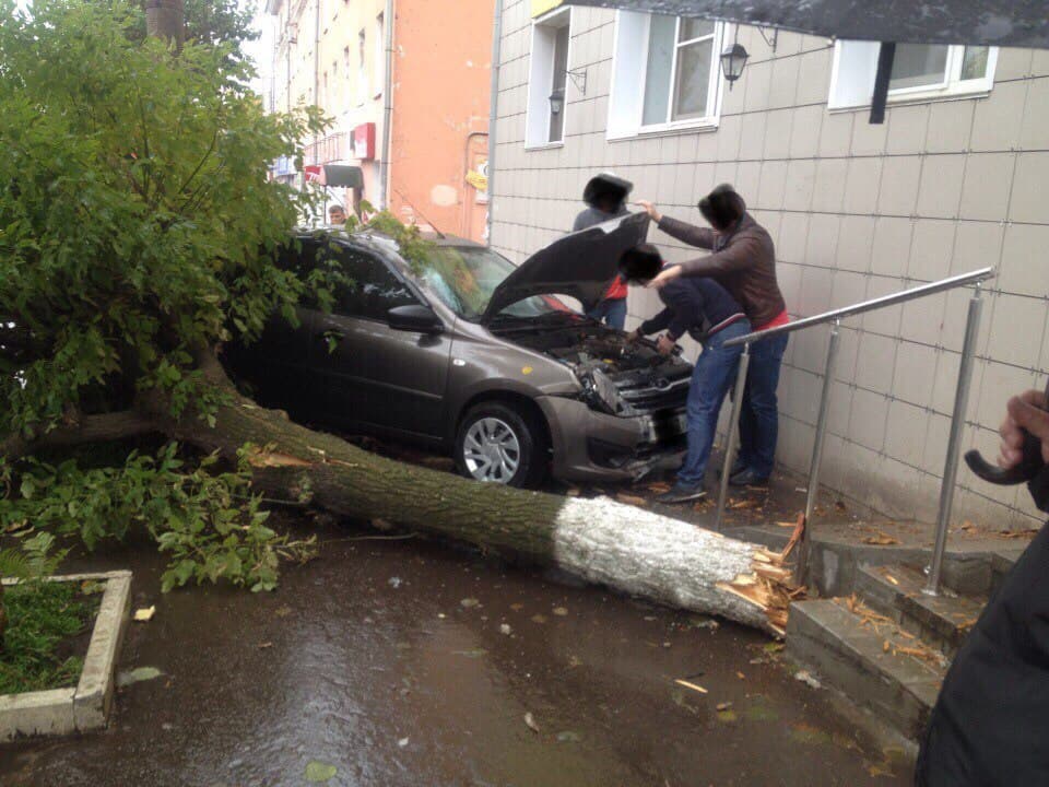 На улице Ленина на автомобиль упало дерево