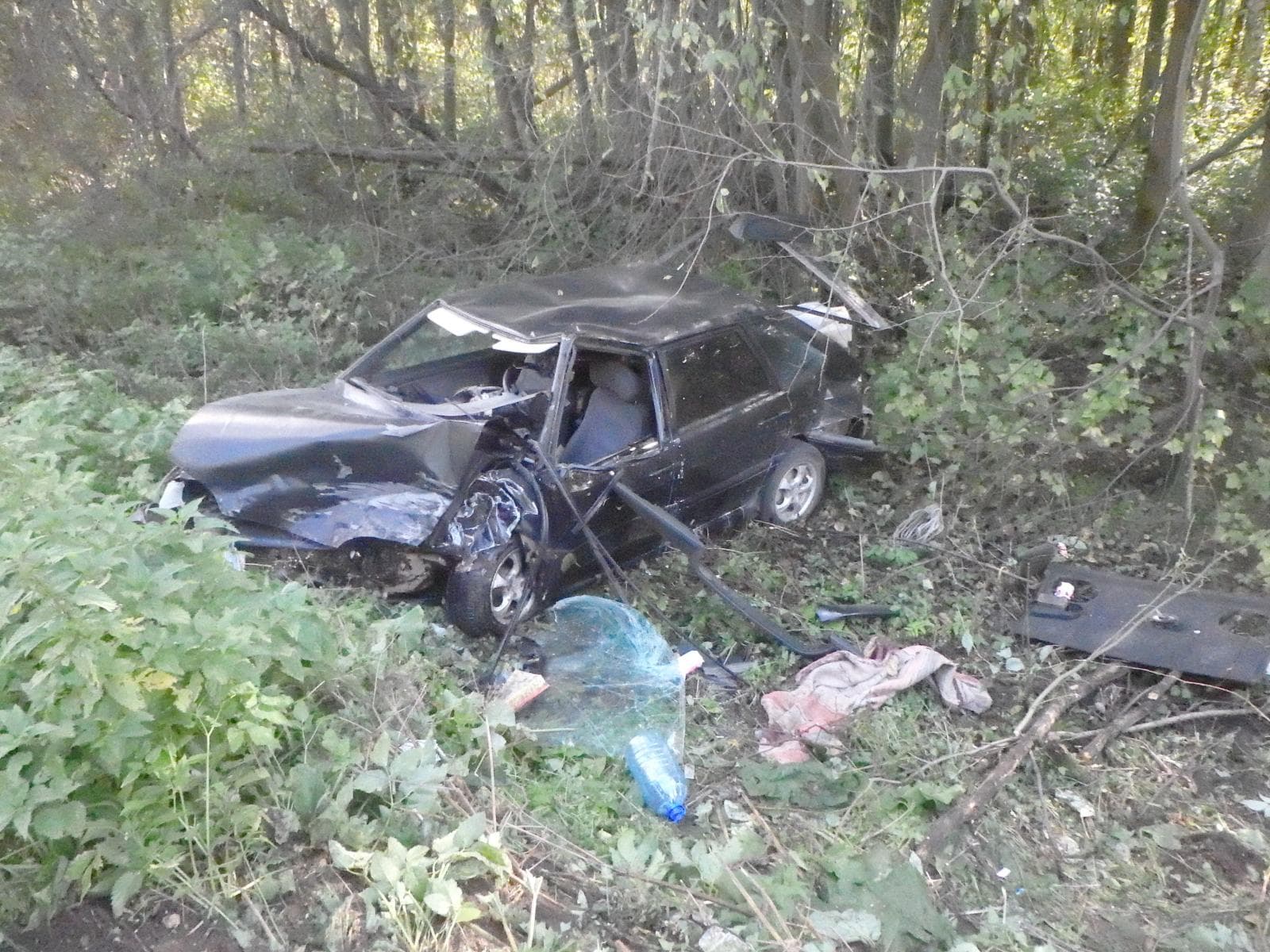 На Кирово-Чепецкой трассле столкнулись ВАЗ-21144 и Kalina