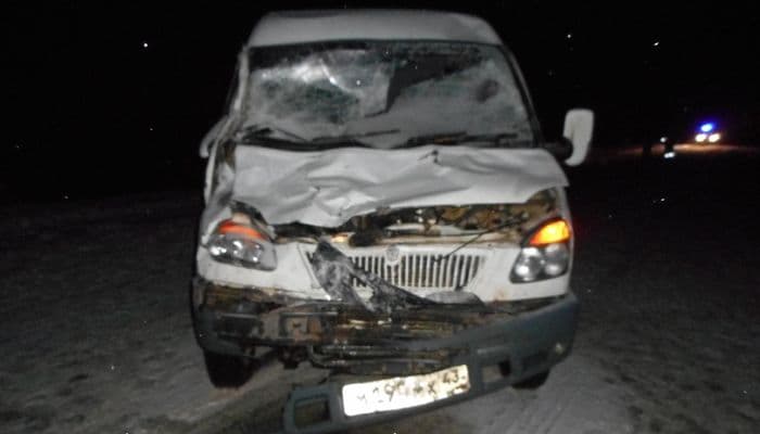 В Санчурском районе лось неожиданно бросился под колеса “ГАЗельки”