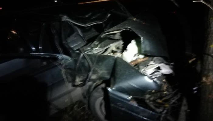 “Четырнадцатая” влетела в лося: три человека госпитализированы