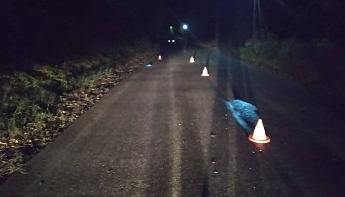 Бесправник на “семерке” сбил 61-летнего пешехода