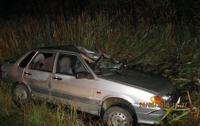 Очередной лось сбит в Кировской области