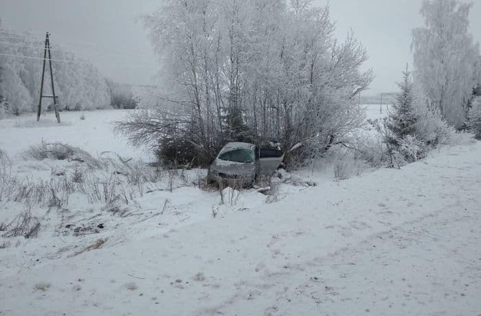 Мужчина на “Шкоде” вылетел в кювет: 2 человека пострадали