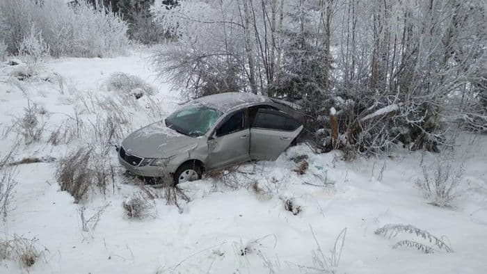 Мужчина на “Шкоде” вылетел в кювет: 2 человека пострадали