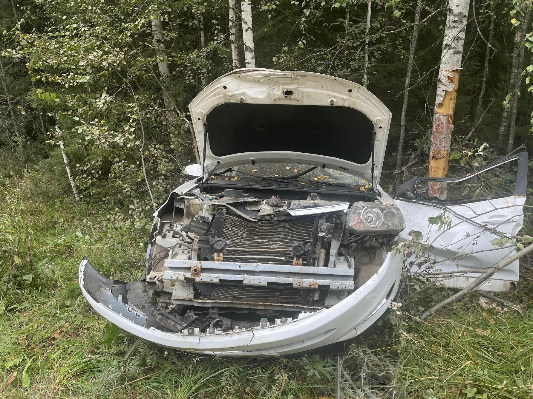 Под Слободским 18-летняя девушка на иномарке врезалась в дерево и погибла