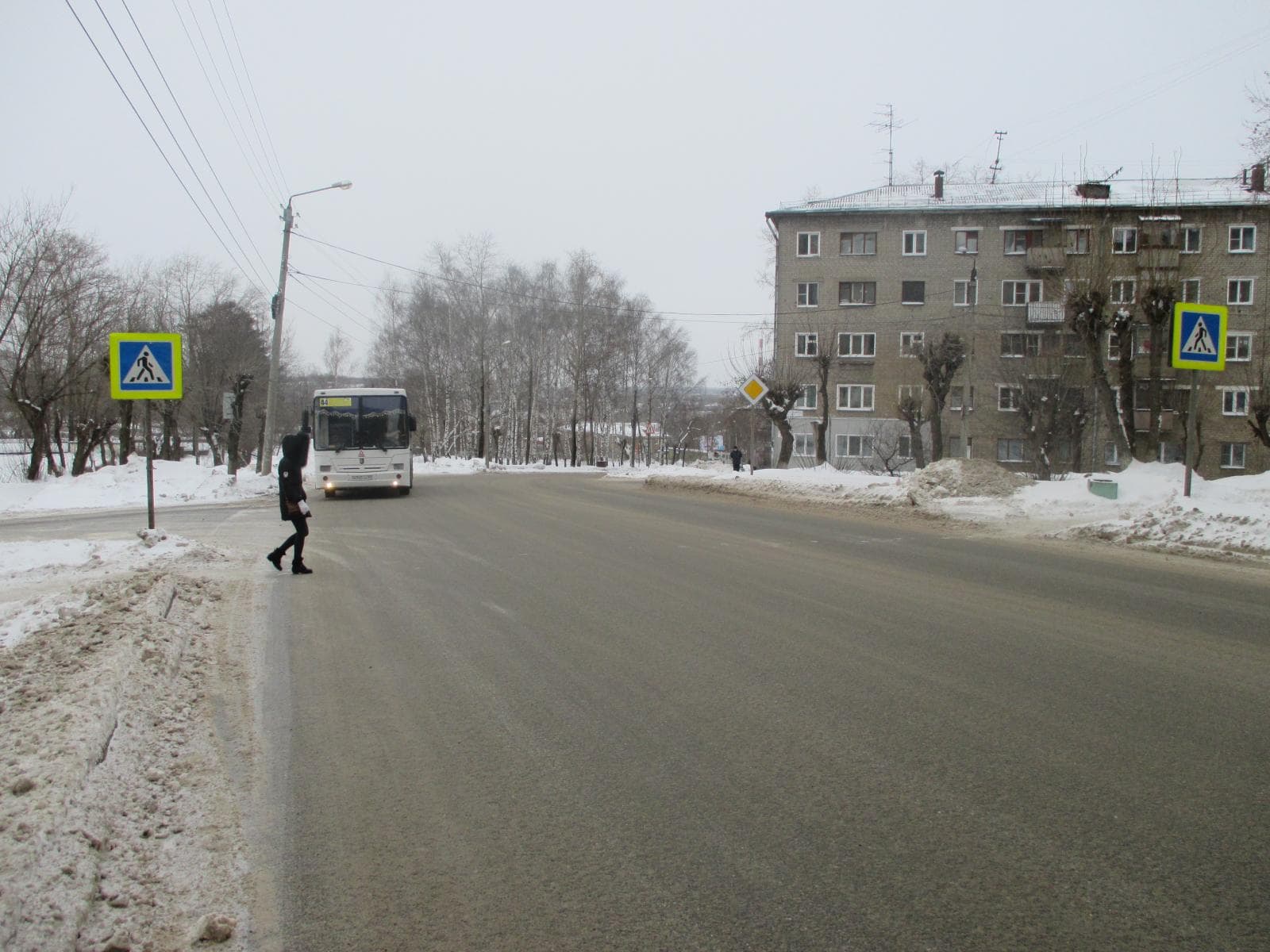 «Несчастная зебра». На Лепсе снова сбили человека