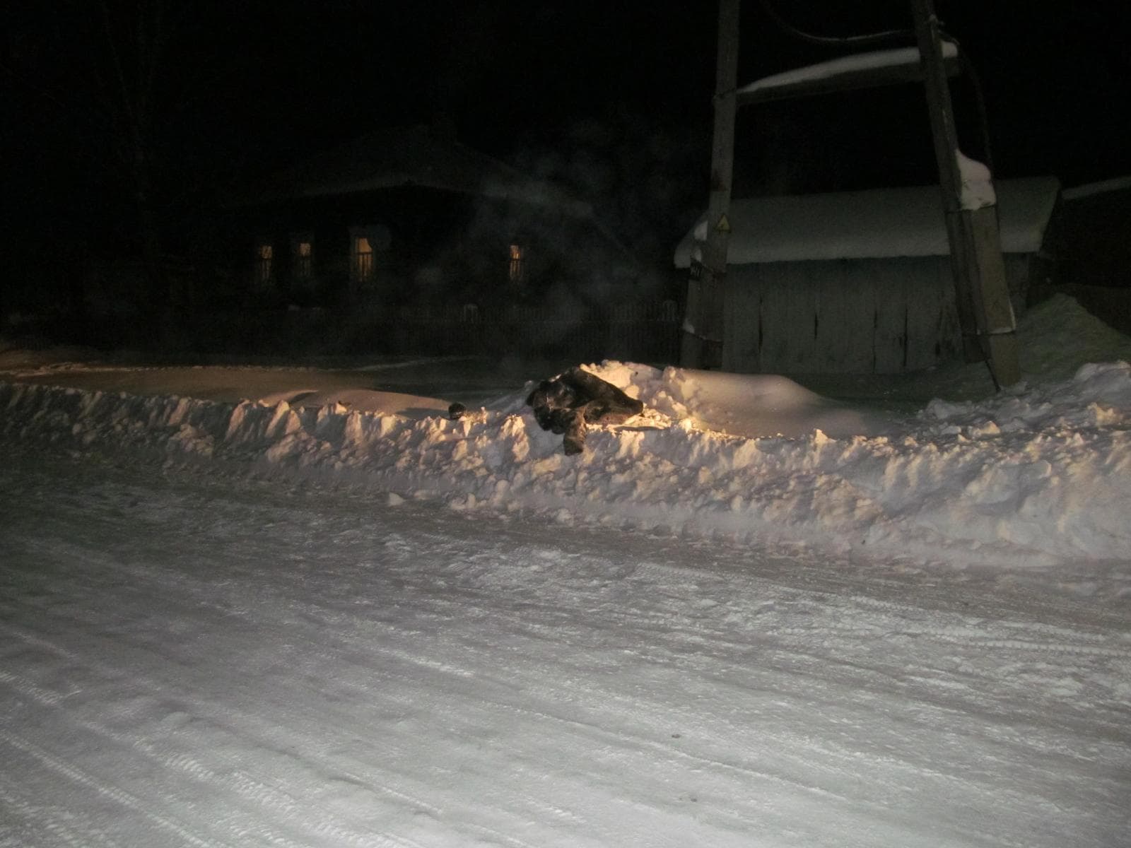 В Песковке пьяный водитель насмерть сбил женщину