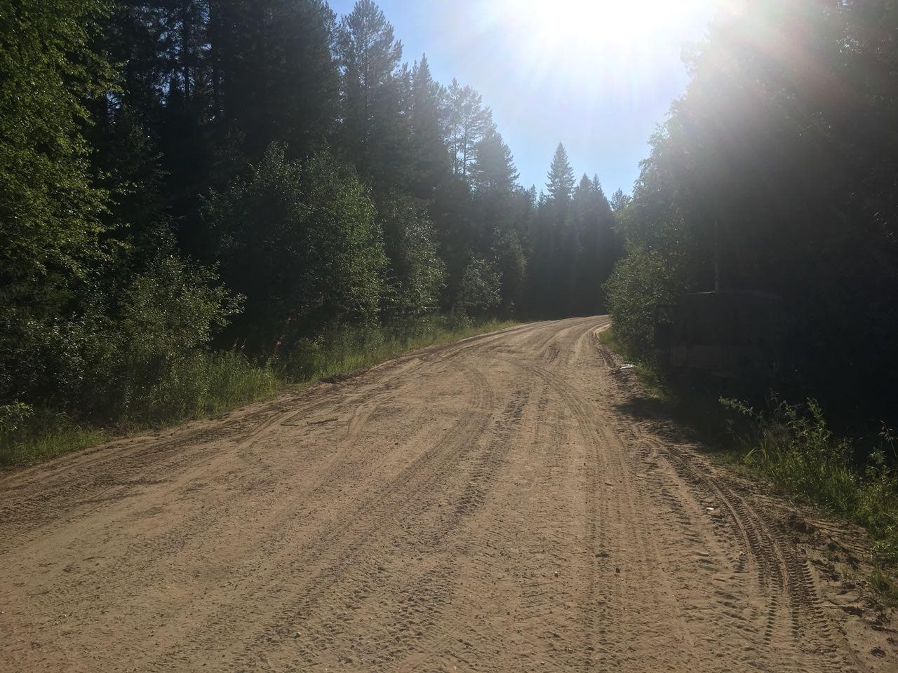 Пьяный бесправник врезался в дерево и отправился в госпиталь