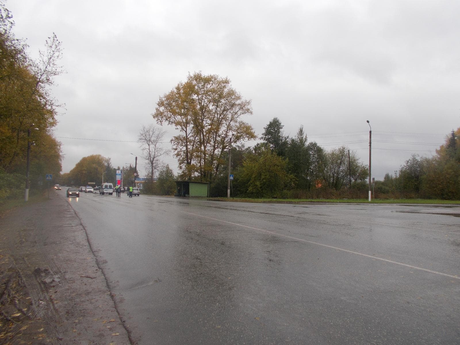 На дамбе под колёсами Audi погиб мужчина