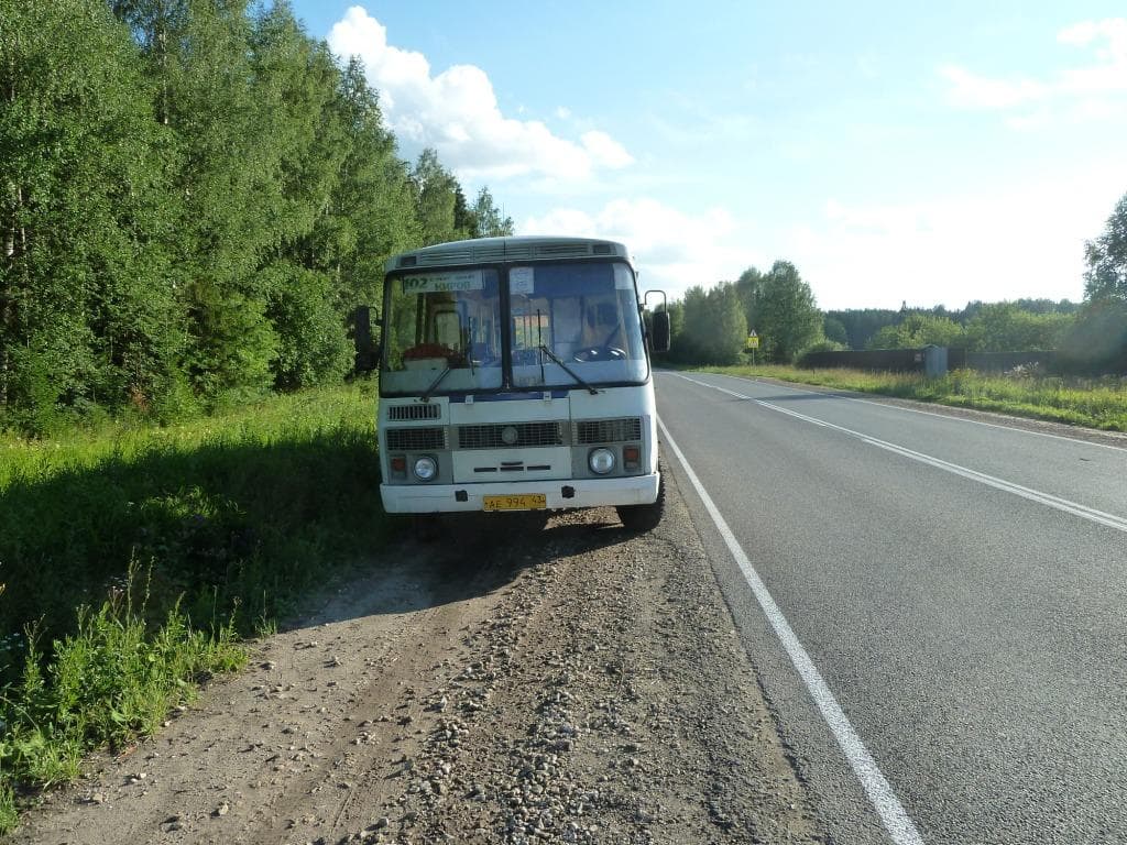 Две 8-летние девочки пострадали в ДТП в Кировской области