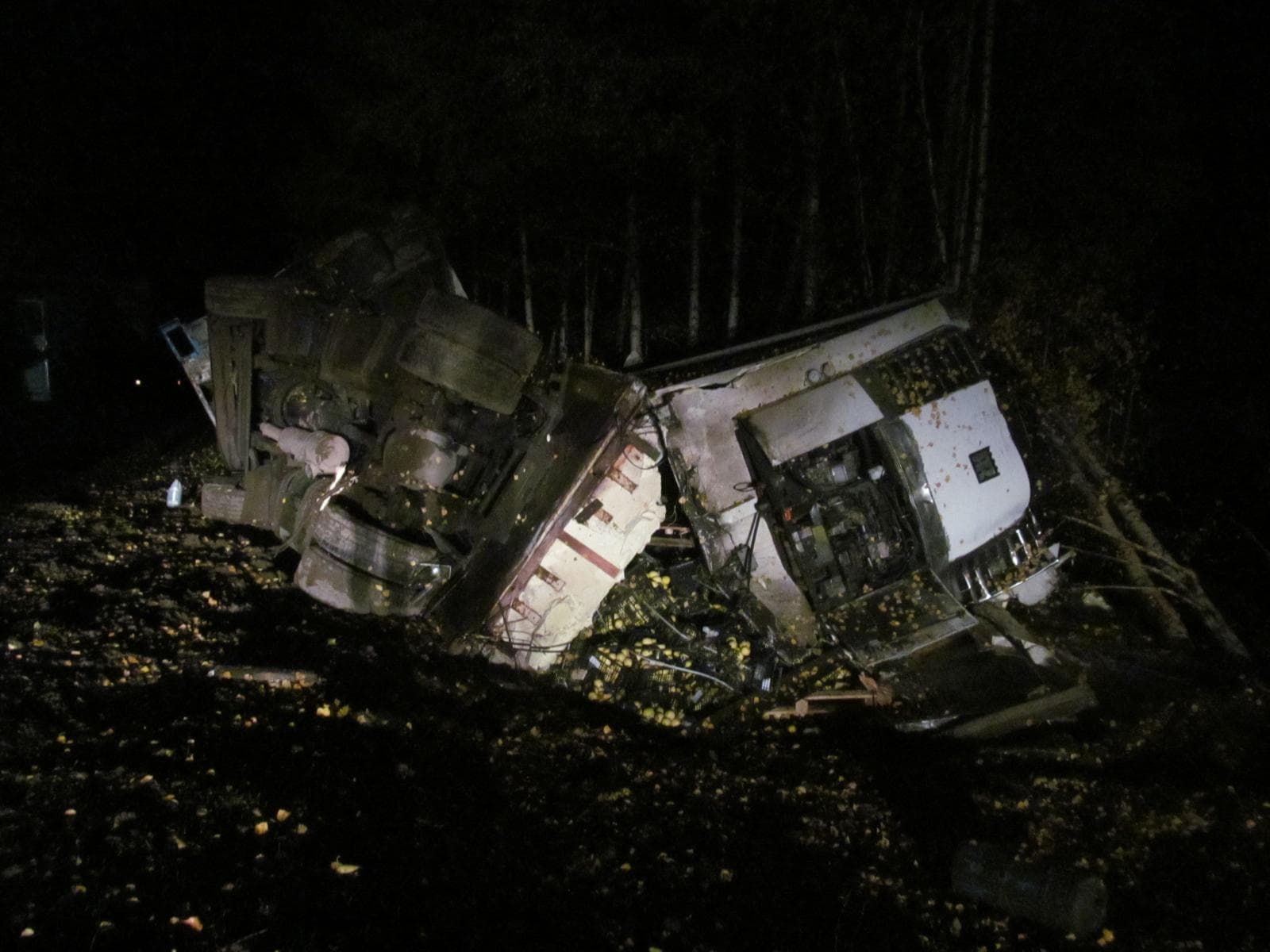 С трассы Киров - Советск сошла фура с фруктами