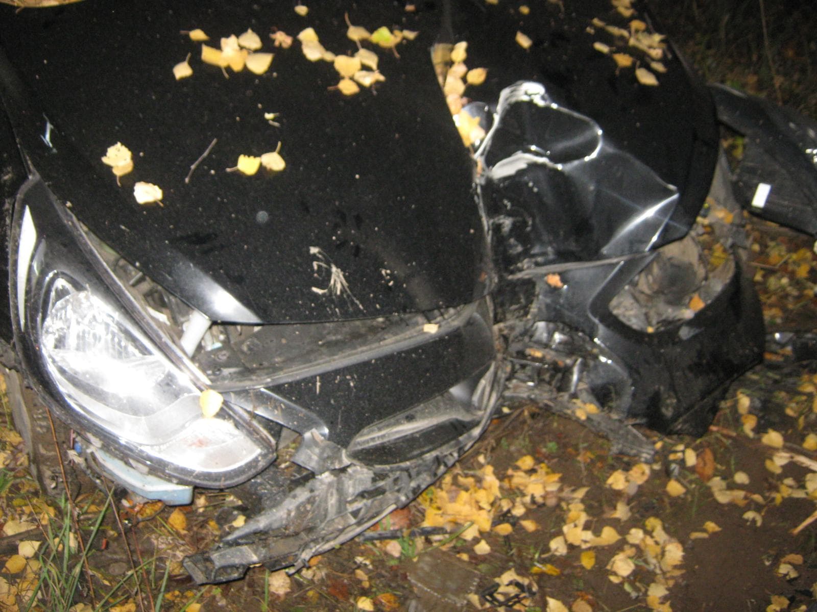 Женщина не справилась с Solaris и врезалась в дерево