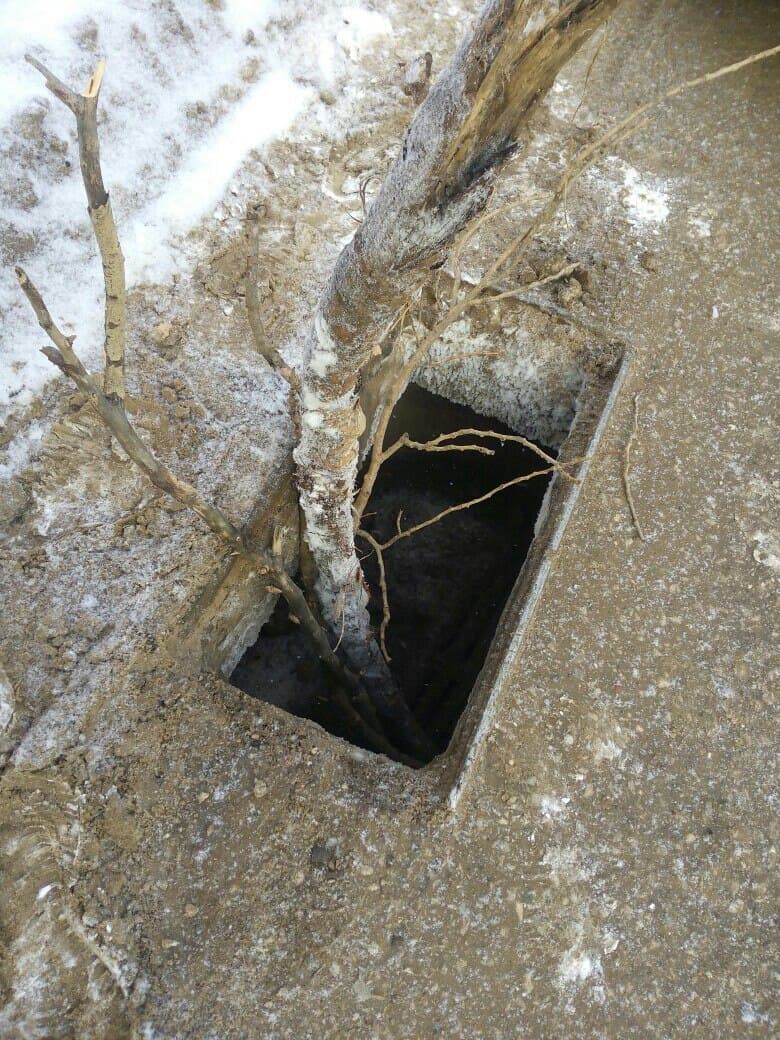 На Романа Ердякова Kalina провалилась в ливнёвку