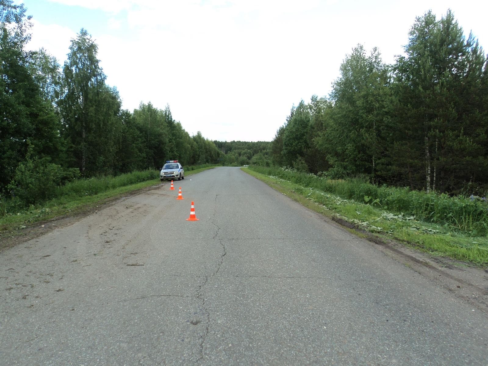 2 человека погибли, врезавшись на машине в дерево