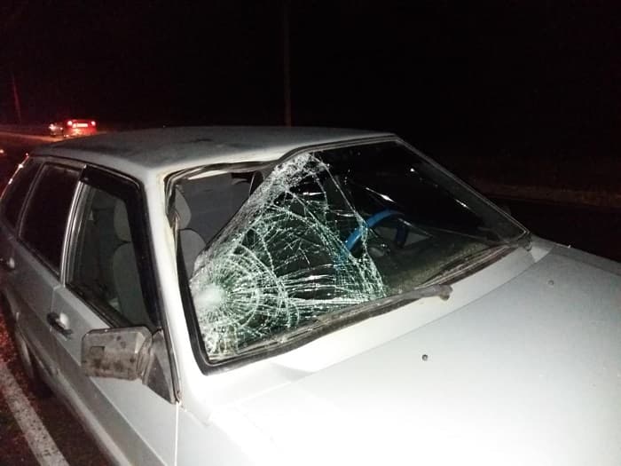 В Санчурске водитель “Лады” насмерть сбил пенсионера