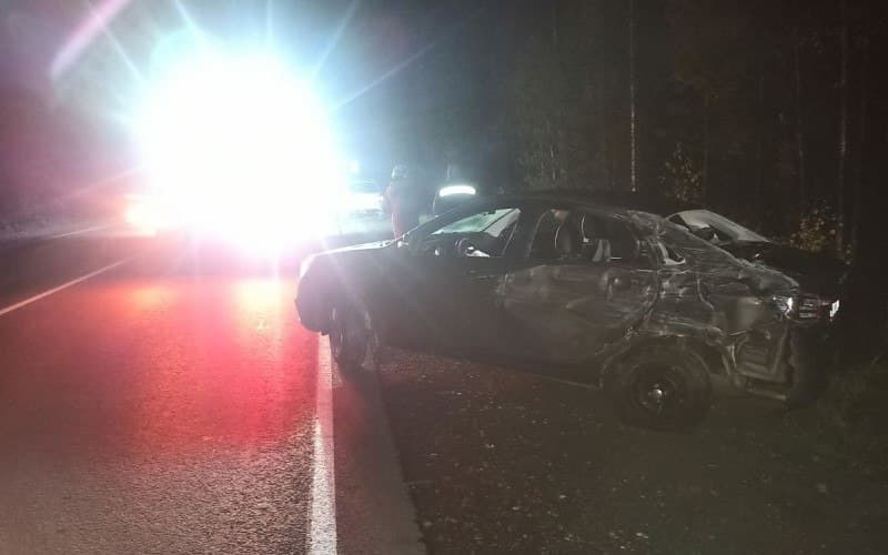 На Советском тракте дикий кабан стал причиной крупного ДТП