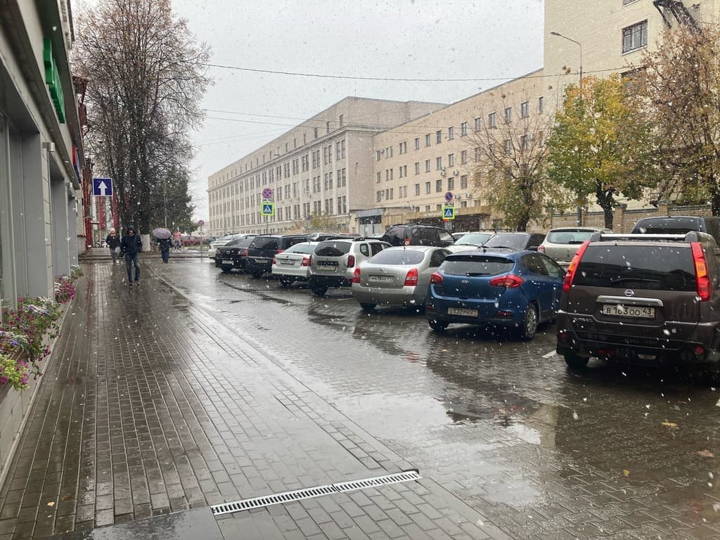 В России подешевели автомобили, ввезенные по параллельному импорту