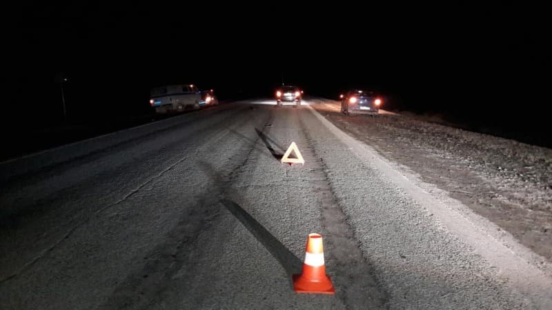 Пешеходы под колёсами: 4 пострадали и 2 погибли