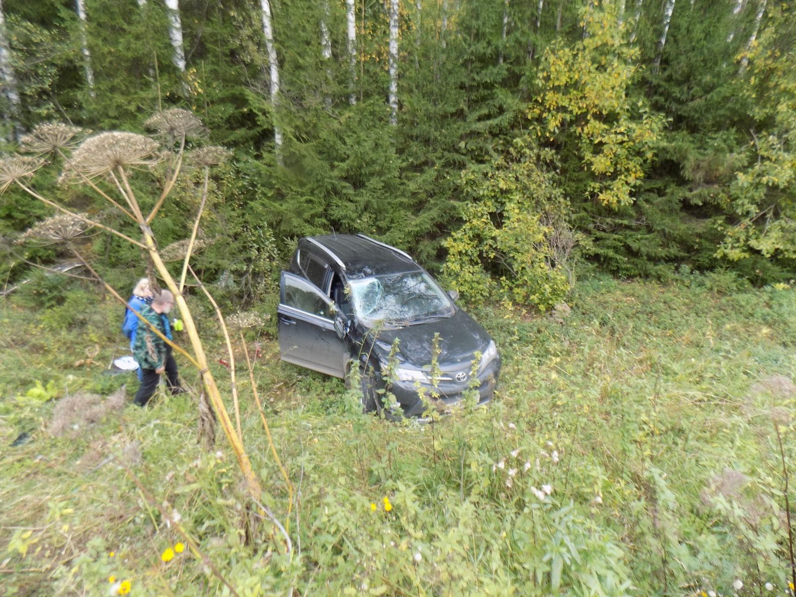 Обгон закончился в кювете - авария в Орловском районей