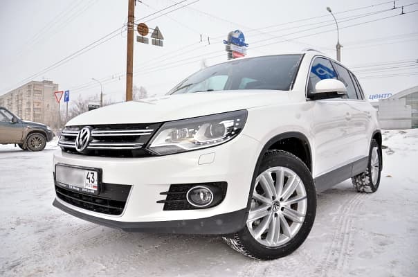 «Тигро-игуан»: не для пафоса – для человека