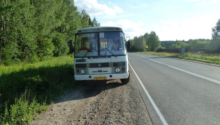 Две 8-летние девочки пострадали в ДТП в Кировской области