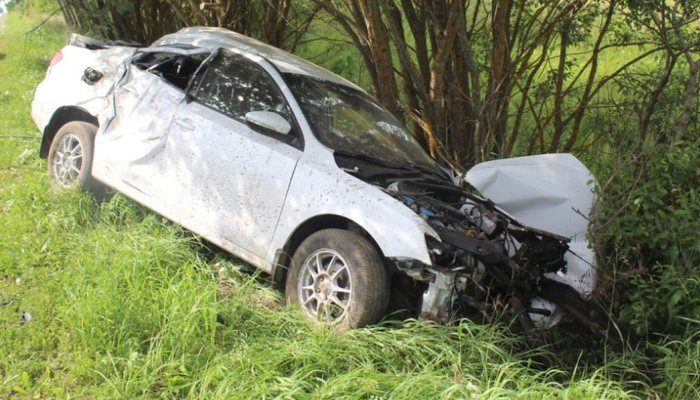 В Кировской области Volkswagen вылетел с дороги в дерево: есть пострадавшие