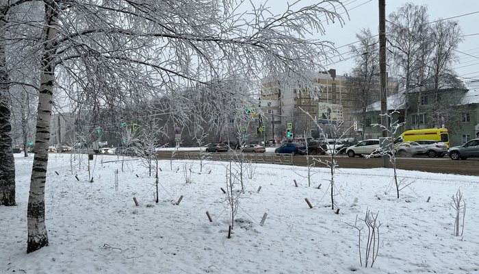 В Кирове на неделю перекроют проезд на улице Ломоносова
