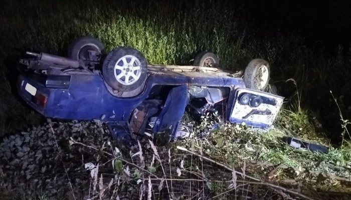 В Кировской области бесправник на "семерке" сбил лося и вылетел в кювет