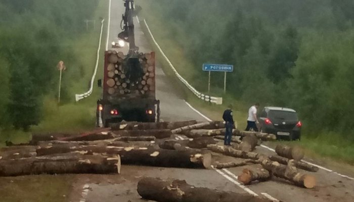 Лесовоз разбросал брёвна по дороге