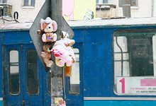 ДТП на Милицейской: адвокат водителя не согласен с представленными аргументами