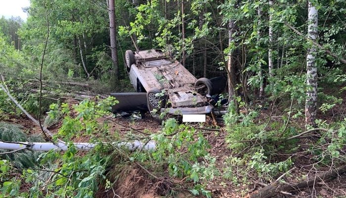 В Кировской области автомобиль вылетел в кювет: 20- летний водитель погиб