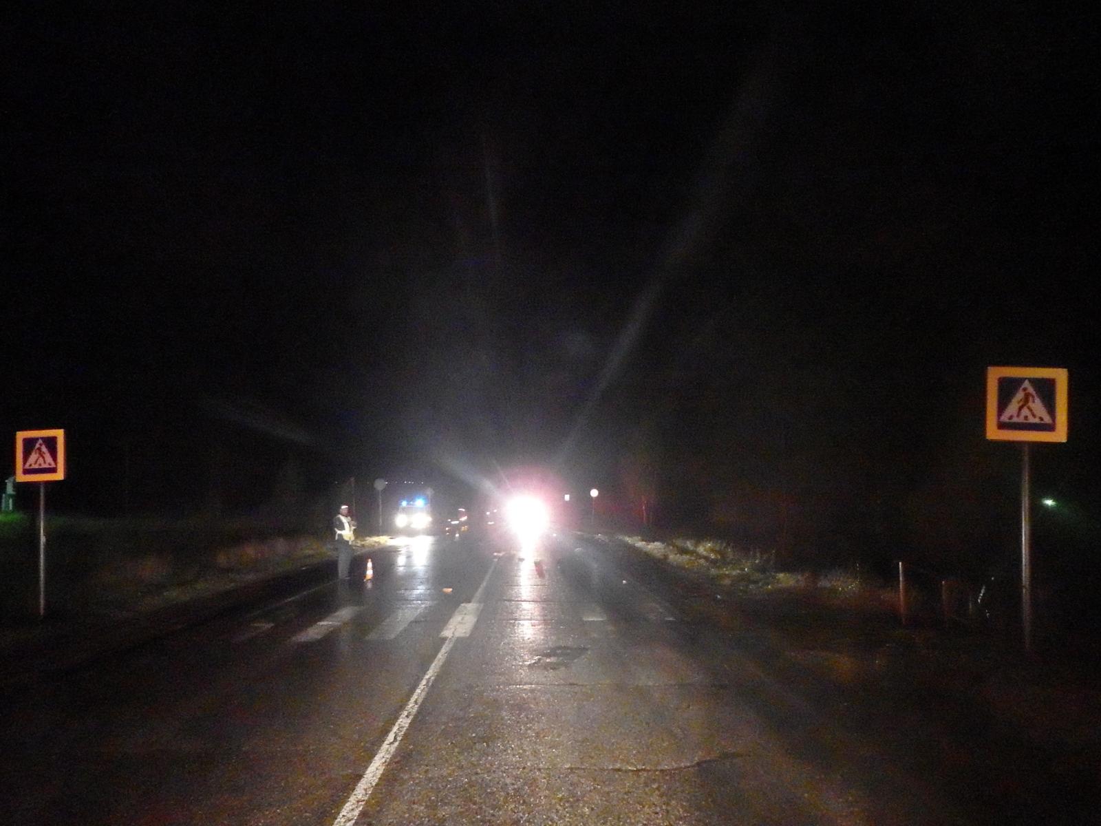 ограждения возле пешеходного перехода. пешеход в деревне. муляж детей на дороге. пешеходный переход. население сосенский калужская область.