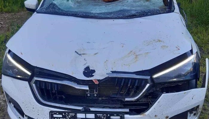 В Кировской области водитель иномарки сбил лося: трое человек пострадали
