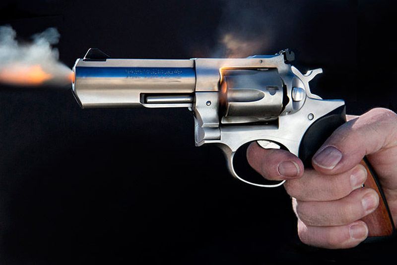 Living gun. City Hunter: .357 Magnum.