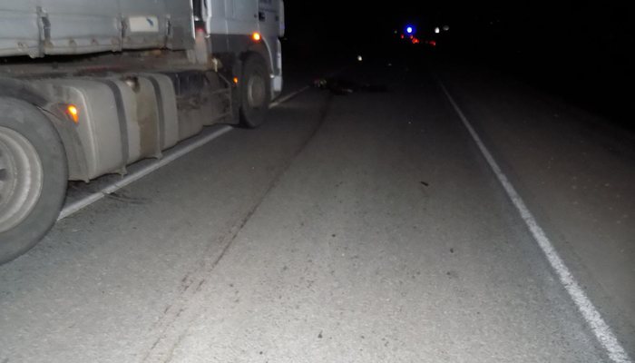 На трассе «Вятка» под колёсами грузовика погиб мужчина