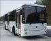 В Кирове появилось 18 новых автобусов марки «НефАЗ»