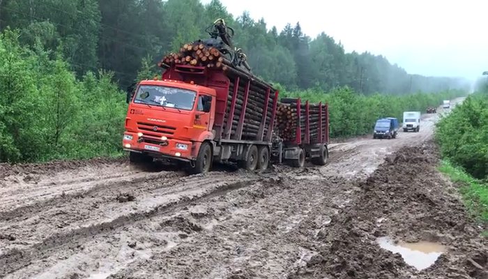 «Проехать можно только на тракторе»: когда дороги в Лузском районе восстановят