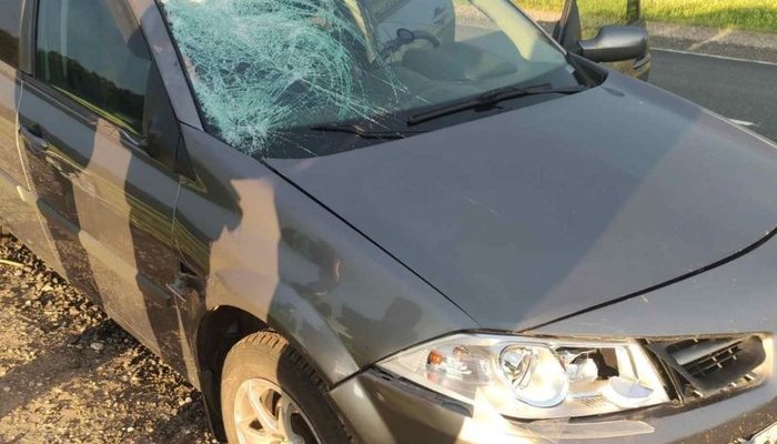 На трассе в Кировской области водитель иномарки насмерть сбил пешехода
