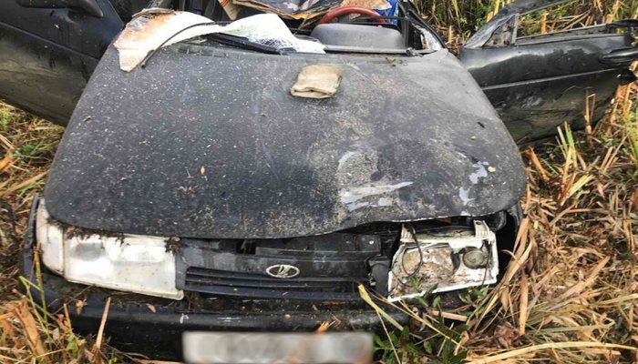 В Кировской области погиб водитель, столкнувшись с лосем