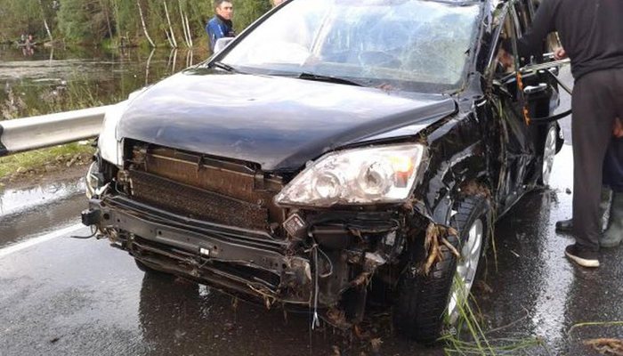 В Белохолуницком районе «Хонда» съехала в реку: водитель погиб