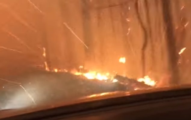 Опубликовано видео, где люди спасаются от лесного пожара на автомобиле