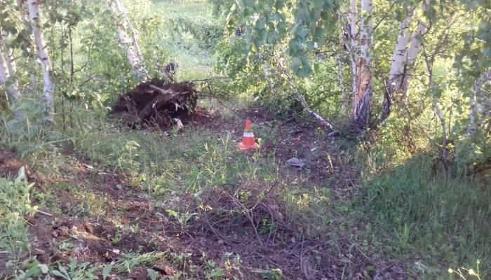 В Кировской области легковушка вылетела в кювет: водитель погиб