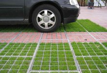 Каждый за себя. Для кого-то экопарковка, для кого-то ничего