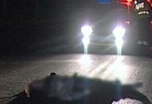 ДТП: 2 километра водитель тащил пешехода, которого сбил