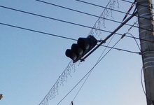 У "Глобуса" появился горизонтальный светофор